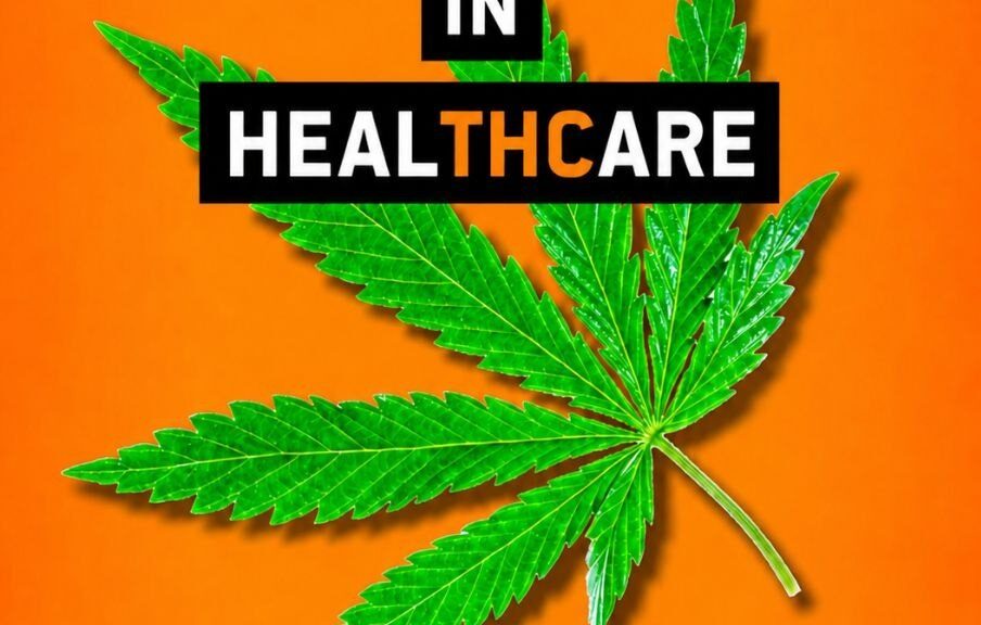 Englischer Text auf einem Blatt der Cannabis-Pflanze: 'We put the THC in Healthcare.' Darunter das Logo der Piratenpartei Deutschlands.