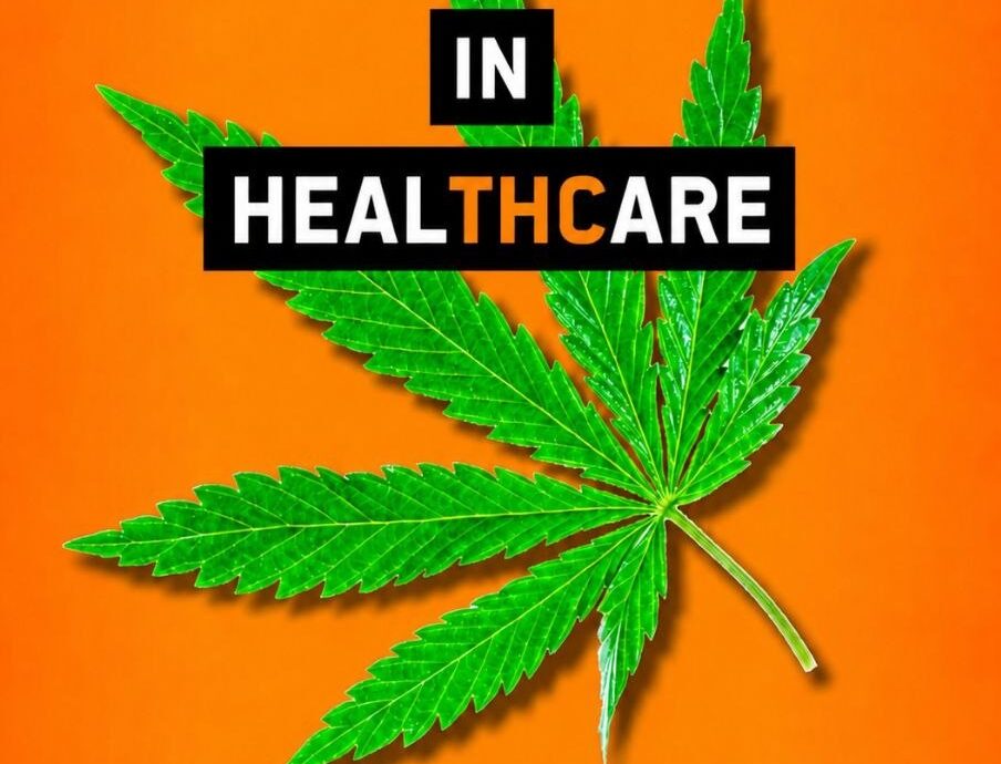 Englischer Text auf einem Blatt der Cannabis-Pflanze: 'We put the THC in Healthcare.' Darunter das Logo der Piratenpartei Deutschlands.